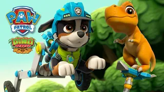 NEW PUP! PAW Patrol Dino Rescue! Meet Rex, the Dino Whisperer! - PAW Patrol Official & Friends