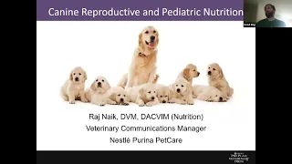 Canine Reproductive Nutrition & Pediatrics Webinar Presented by Purina Pro Plan right here