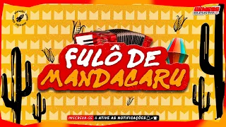 FULÔ DE MANDACARU - SÃO JOÃO 2024 ( SÓ RELIQUIA FESTA JUNINA )