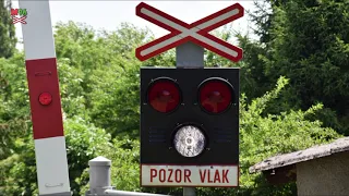 "Železniční přejezd" na zahradě (Pavlovice u Přerova) / "Railroad crossing" on garden