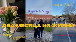 ЖИЗНЬ СТОКГОЛЬМЕ: КОНЦЕРТ В.МЕЛАДЗЕ, ДАЙСОН, ВСТРЕЧИ С ДРУЗЬЯМИ И ДЕНЬ РОЖДЕНИЯ