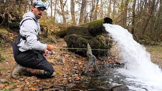 I Can’t Believe I NEVER Thought To Fish Here... INCREDIBLE Rainbow Trout CATCH and COOK!