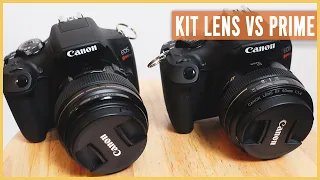 Canon Rebel T7 Kit Lens vs. Canon 50mm Prime Lens