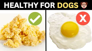 8 Human Foods That Are Actually GOOD For Dogs...