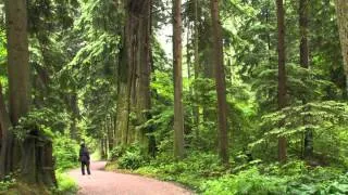 Stanley Park: An Urban Wilderness Teaser Trailer