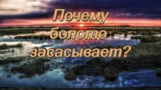 Почему болото засасывает? Анимированный видеоролик.