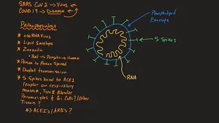 COVID 19 Part 1: Basic Pathophysiology