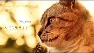 Cuulas - Vallaton kissalaulu (Rallipätkä cd:llä)
