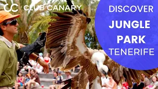 Explore the Wild: A Tour of Jungle Park in Tenerife