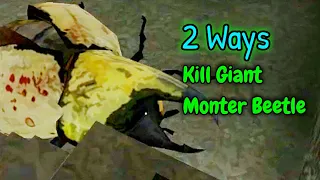 2 Ways To Kill The Giant Monster Beetle In The Twins