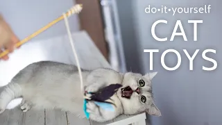 How to make Cheap DIY Cat Toys