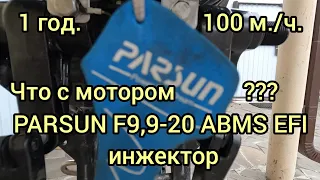 PARSUN F9,9-20 ABMS EFI - 1 год, 100 м/ч., плюсы, минусы, доработки.