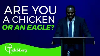 Are you an Eagle or a Chicken?