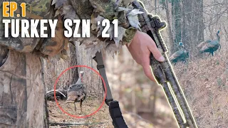 WE FOUND THE GOBBLERS! - Alabama Public Land Turkey Hunting