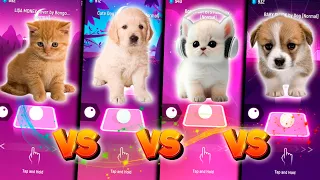 CUTE CAT LISA MONEY VS CUTE DOG MAROON 5 SUGAR VS CUTE CAT BTS FAKE LOVE VS CUTE DOG BABY SHARK