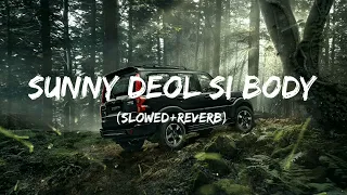 Sunny Deol Si Body | Raju Punjabi | perfectly [Slowed+Reverb] | #slowedreverb #lofi #trending