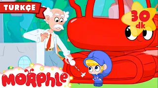 Morphle Sihirli Testereye Dönüşüyor | Çocuk Videoları | Çocuk Çizgi Filmleri | Morphle Türkçe