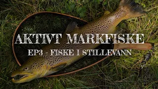 Aktivt markfiske i stillevann etter ørret - Ep 3 - Fisketips S2