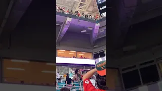 Cat falls from stadium stand at baseball game