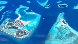 maafushi to male | shark tank | maldives tourist places