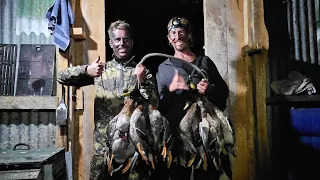Duck shooting opening 2023  NZ