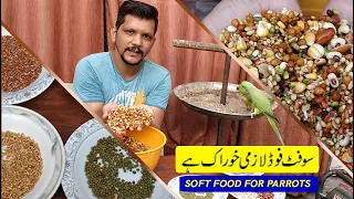 PARROTS KAY BEST SOFT FOOD IN SUMMER | HEALTHY FOODS | PBI OFFICIAL