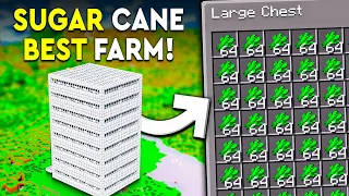 Minecraft BEST SUGAR CANE FARM 1.20.4 - Java & Bedrock - 5000+ PER/HR!