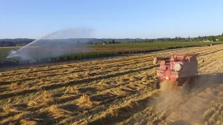 Grass Seed Harvest Fly By