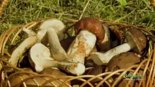 Видео о коттеджном поселке Воскресёнки (2015)