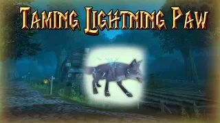 How to Tame Lightning Paw│World of Warcraft Legion