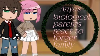 Anya's biological parents react to the forger family||Gacha club||Spy x Family||