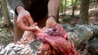 Survival 101: Wild Meat