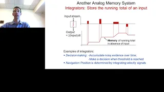 Cracking a Neural Circuit's Function Through High-Resolution Physiology..