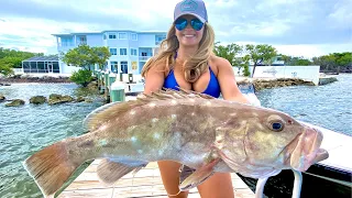 Florida Keys Deep Dropping for HUGE Grouper & Dolphin Mahi Fishing - Catch Clean Cook