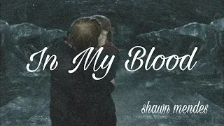【和訳】In My Blood- Shawn Mendes  lyrics