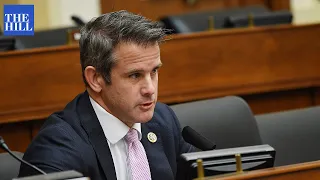 GOP Rep. Kinzinger questions officers on Jan. 6 attack on the Capitol
