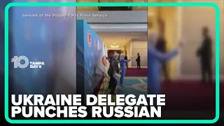 Ukraine delegate punches Russian at Black Sea nations assembly