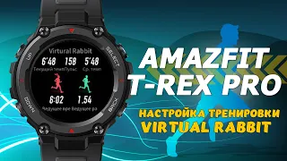 Amazfit T-Rex Pro настройка тренировки и бег с виртуальным кроликом