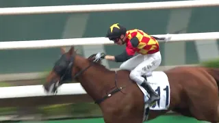 2024-04-20 (603) - 八心之威 (Valiant Elegance) - 賀銘年 (A.Hamelin) (狀態當銳升班再接再厲結果爆出23倍冷門)