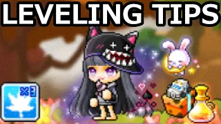 MapleStory Level 200-260 Training Tips & Tricks