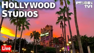 🔴Live: An Evening at Disney's Hollywood Studios - Walt Disney World Live Stream - 5-8-21