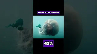 САМЫЕ РЕДКИЕ ОБИТАТЕЛИ ОКЕАНА 😱🦈