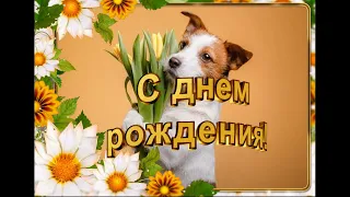 #сднемрождения Красивое поздравление С Днем Рождения! Поздравить с Днем Рожденья! Собачка с цветами!