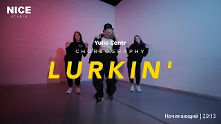 YULIA CENTR | LURKIN'