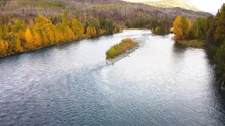 Alaska's Kenai River Salmon Run Drone Footage, with Underwater Salmon Action!