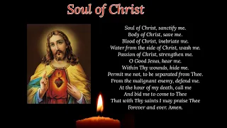 Anima Christi | Soul of Christ | Catholic prayer 🙏🏼🙏🏼🙏🏼