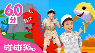 鯊魚寶寶體操 +更多 體操 經典兒歌合集 🦈 鯊魚舞 🦖 恐龍體操 BabyShark Dance | 碰碰狐 Pinkfong!