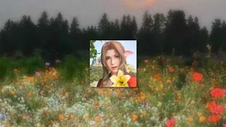 Planting Flowers in the Garden with Aerith Playlist