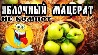 Правильный Яблочный мацерат . Яблочный нектар .