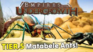 LIVE | MATABELE ANTS, Termites & More! NEW TIER 5 UPDATE - Empires of the Undergrowth 1.0 Gameplay